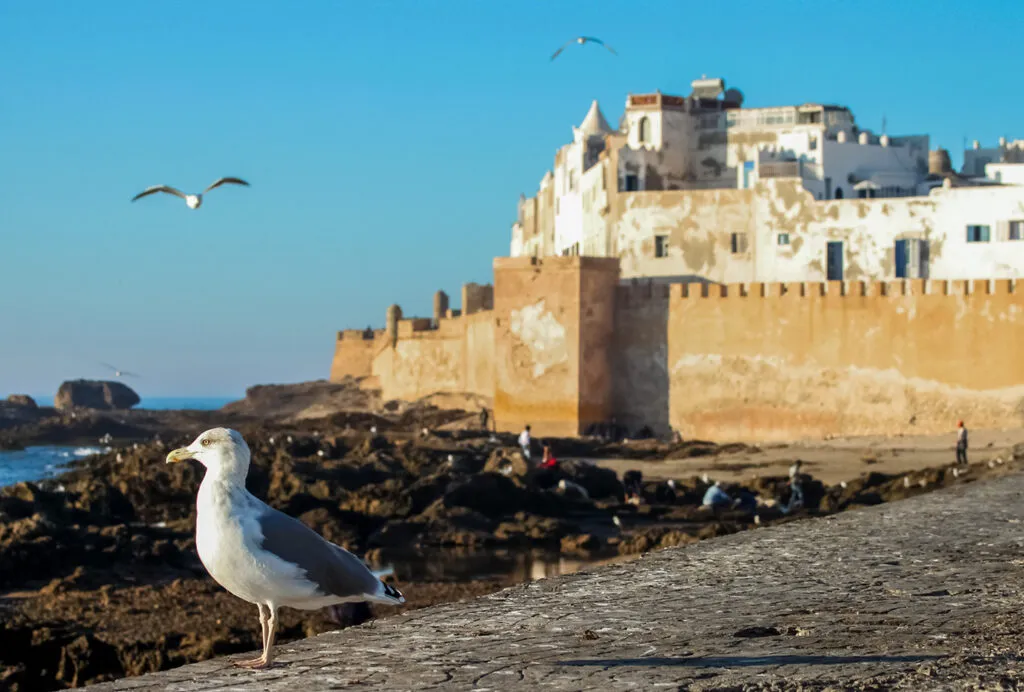 12-Day Morocco Itinerary from Casablanca — The Atlantic Coast, the Sahara, and Back Again