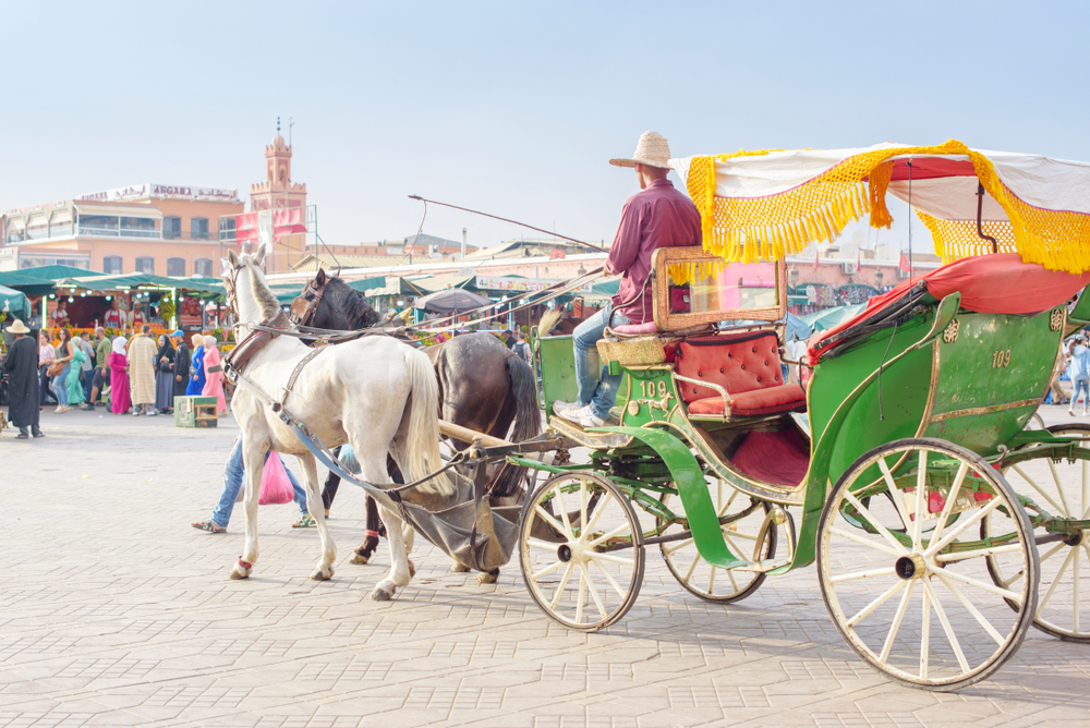 2-Day Fes to Marrakech Desert Tour | Morocco Unscripted